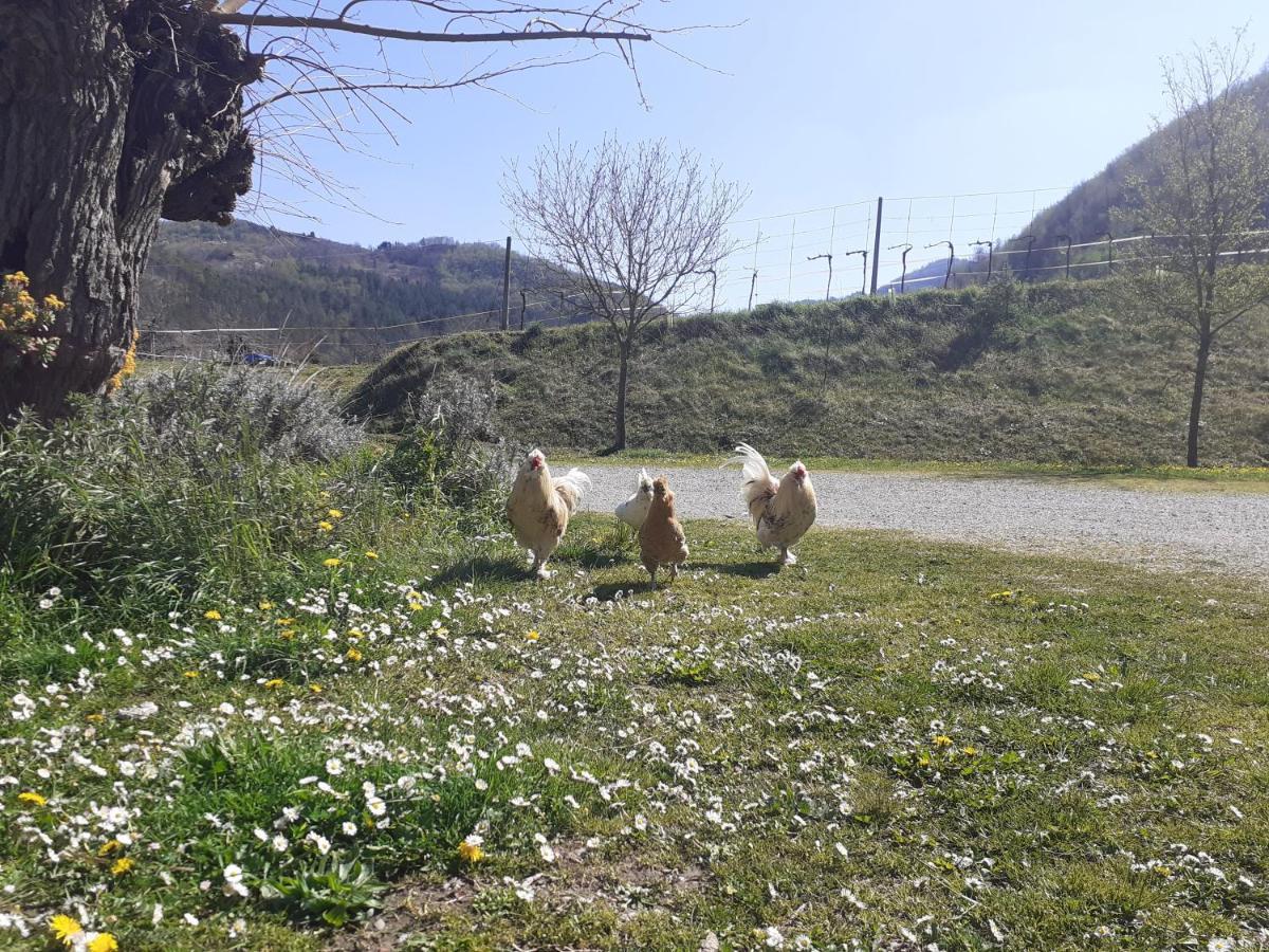 Agriturismo Campo Rosso Civitella di Romagna Zewnętrze zdjęcie
