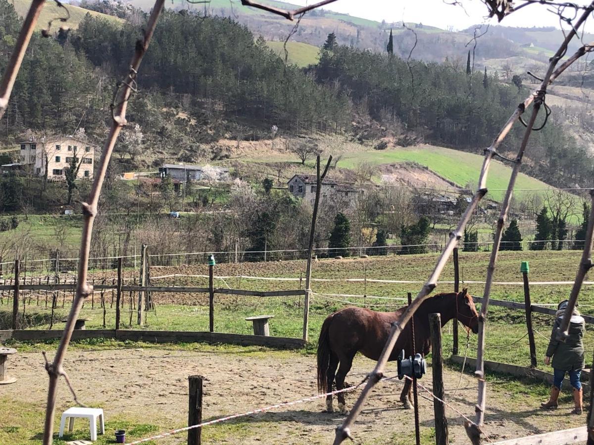 Agriturismo Campo Rosso Civitella di Romagna Zewnętrze zdjęcie