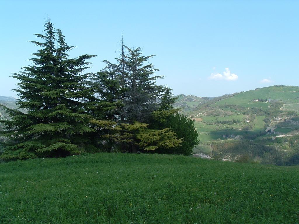 Agriturismo Campo Rosso Civitella di Romagna Zewnętrze zdjęcie