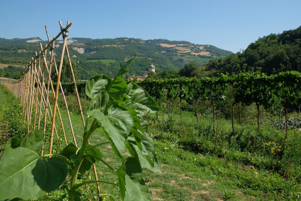 Agriturismo Campo Rosso Civitella di Romagna Zewnętrze zdjęcie